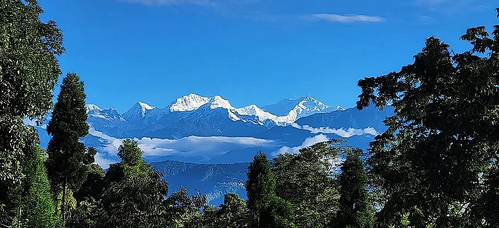 Mountain picks from Rinchenpong, (PC:O T Lepcha)
